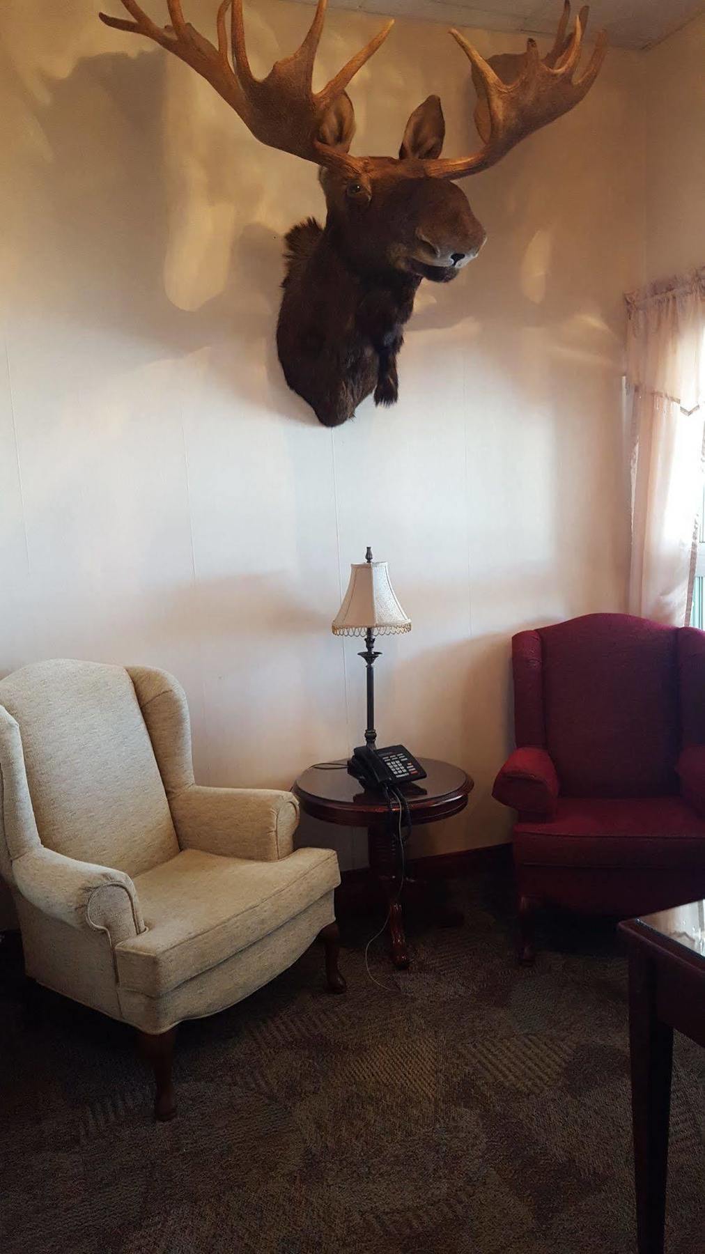 Hotel Port Aux Basques المظهر الخارجي الصورة